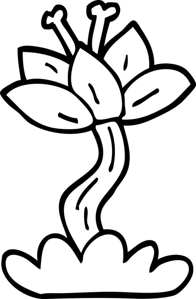 line drawing cartoon red lilly vector
