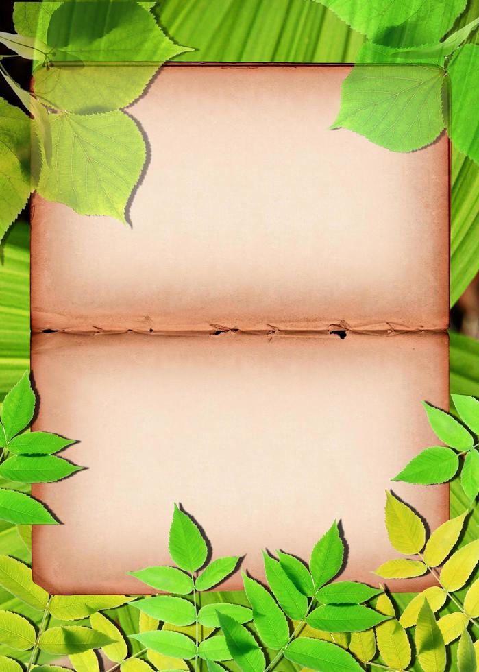 Old paper background with green leaves photo