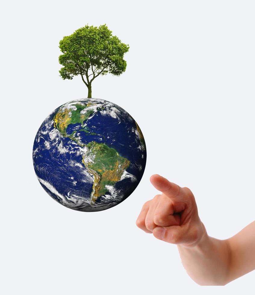 hands, the young sprout and our planet Earth photo