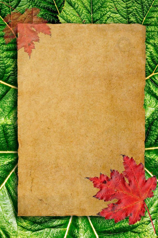 autumn background with colored leaves on old paper photo