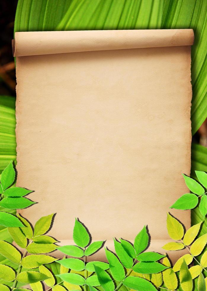 Old paper background with green leaves photo