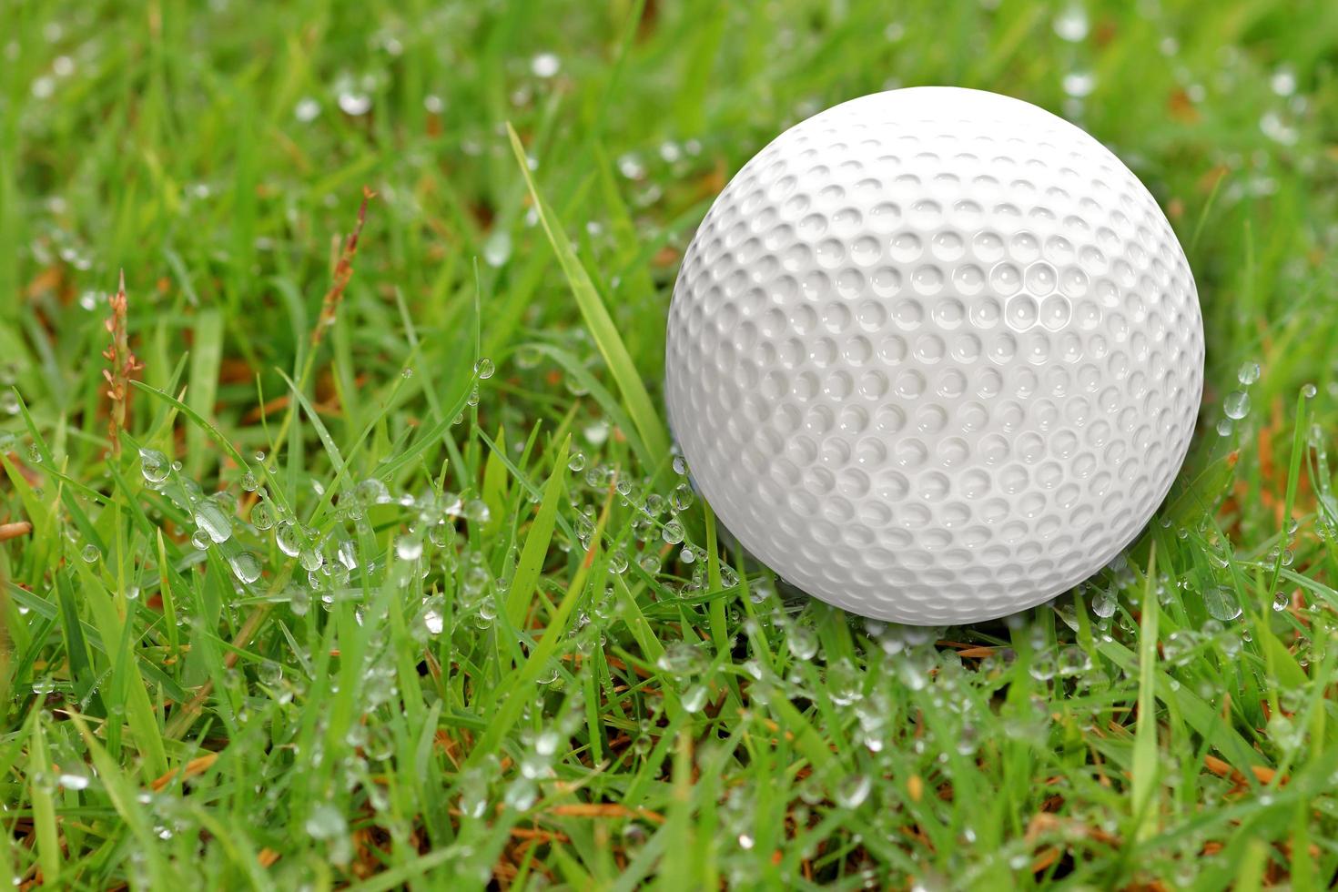 Golf balls on the grass background photo