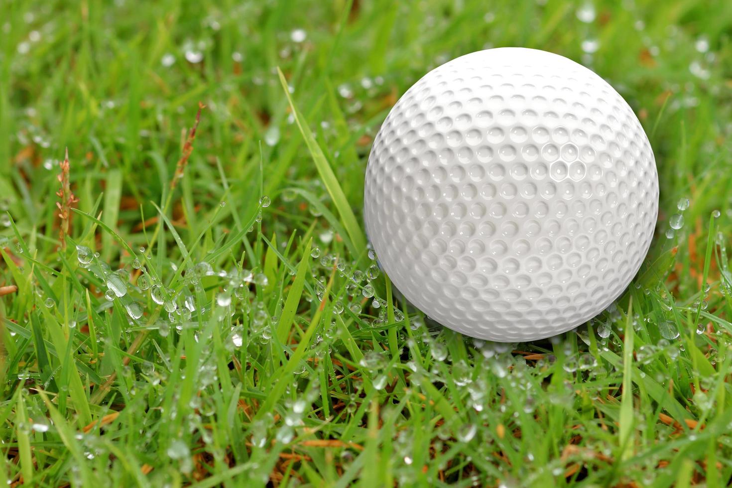 pelotas de golf en el fondo de la hierba foto