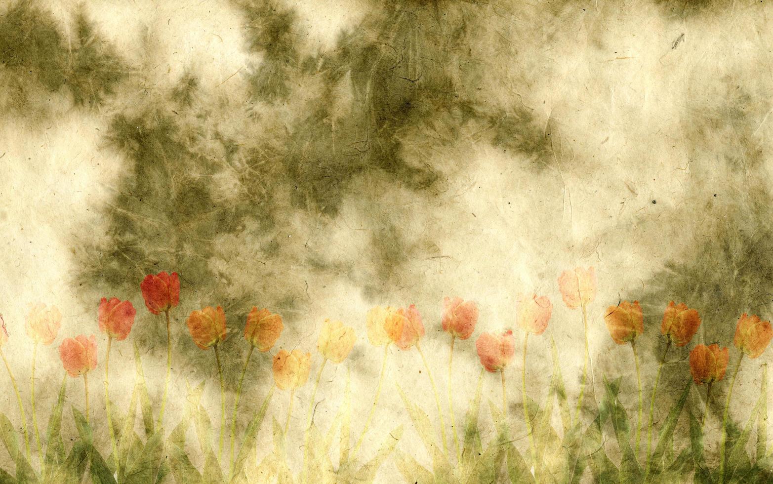 paper background with tulips photo