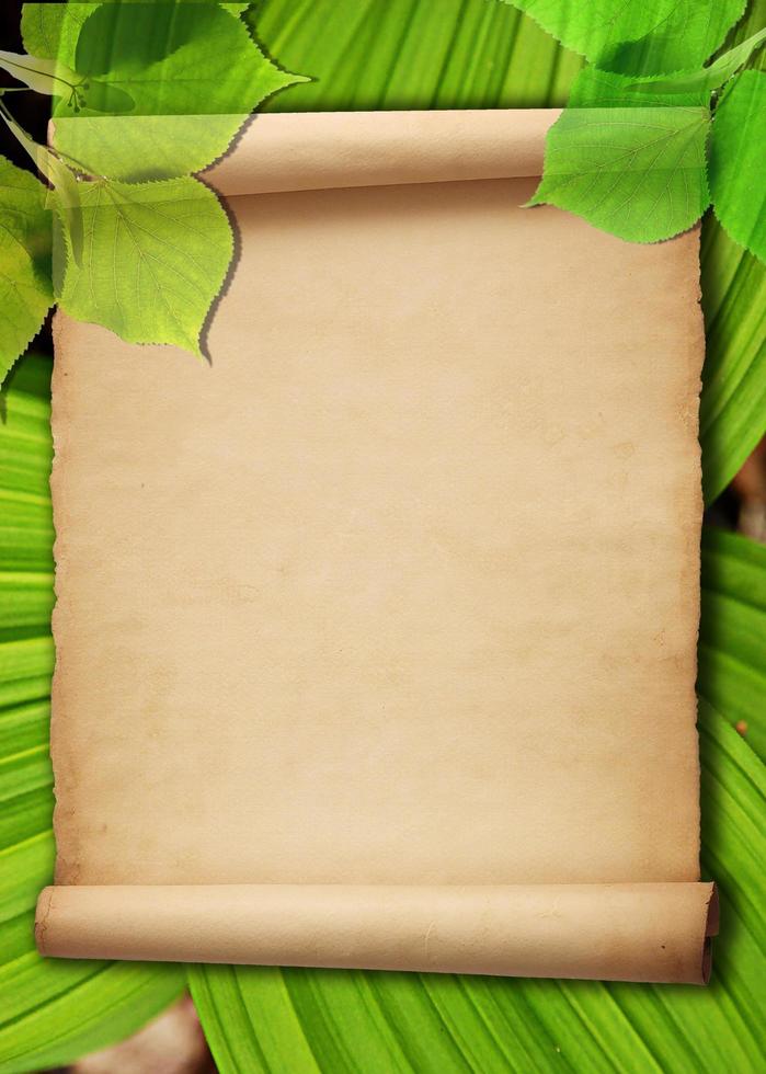 Old paper background with green leaves photo