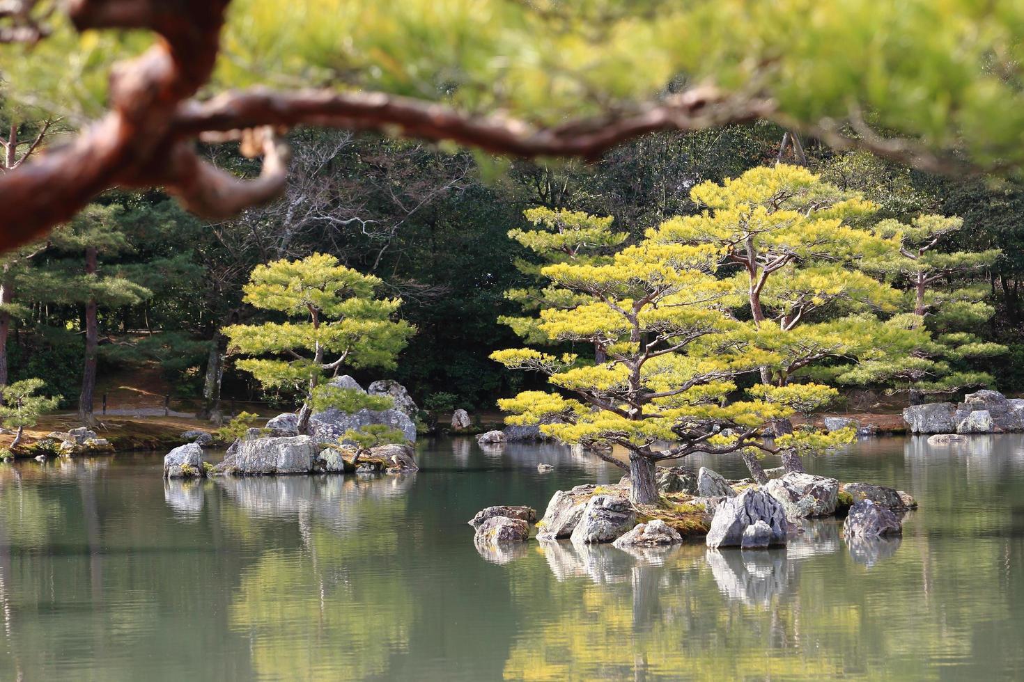 Japanese garden at famous Kinkakuji photo