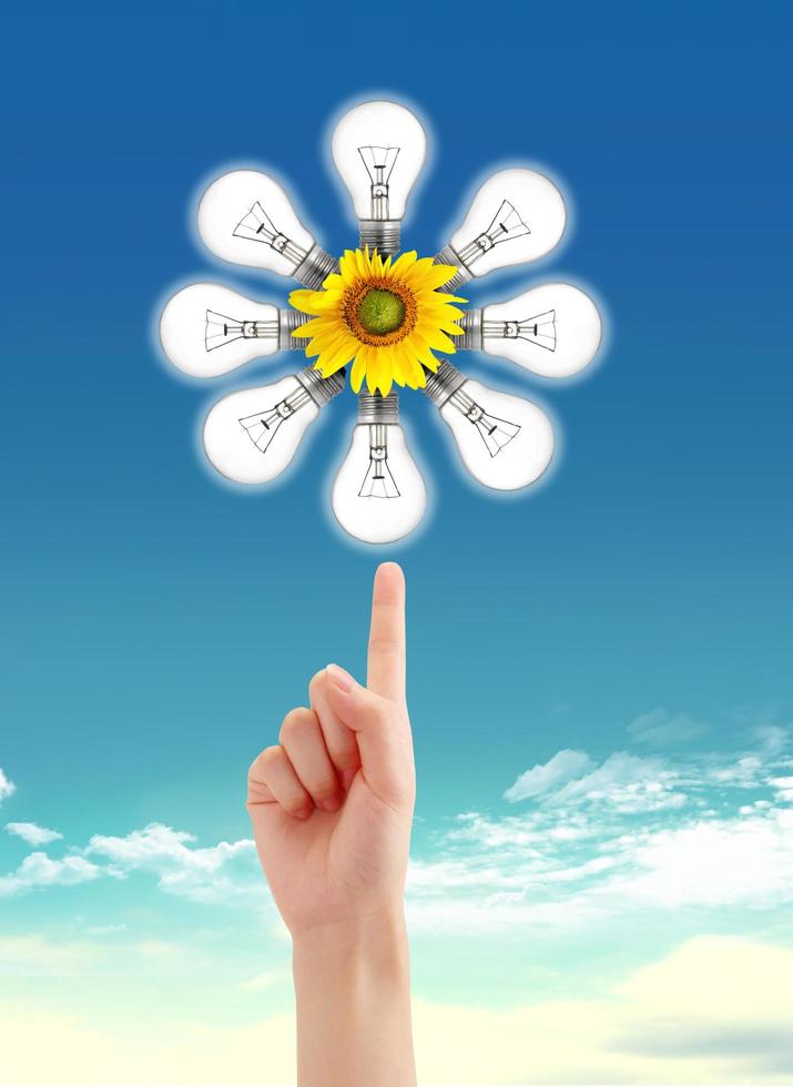 A light bulb with sunflower and sky. photo