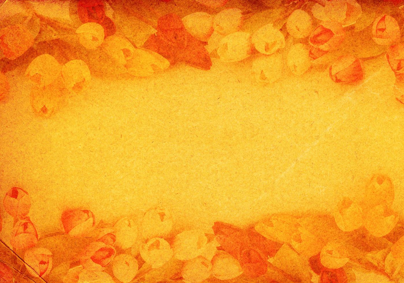 paper background with tulips photo