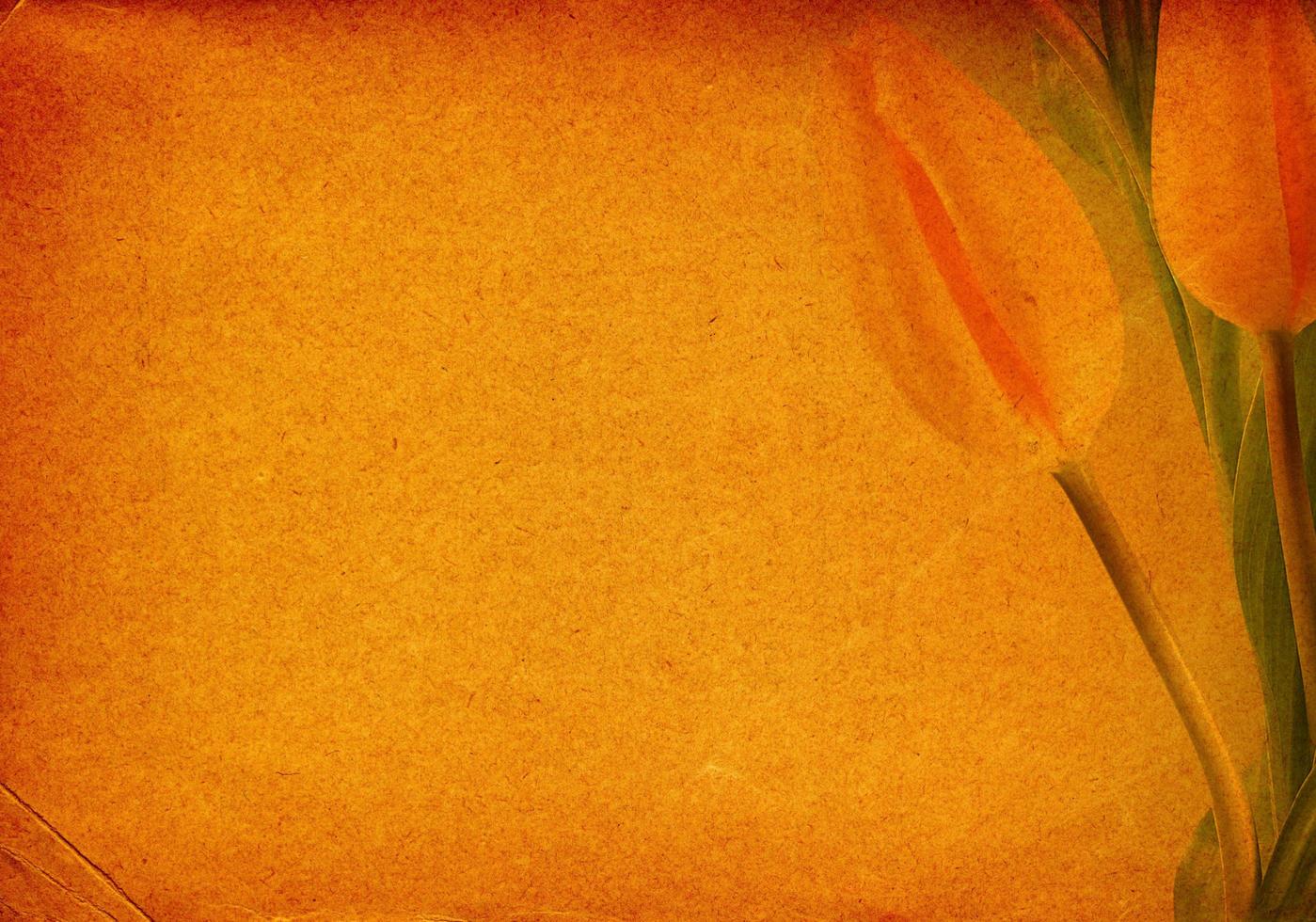 paper background with tulips photo