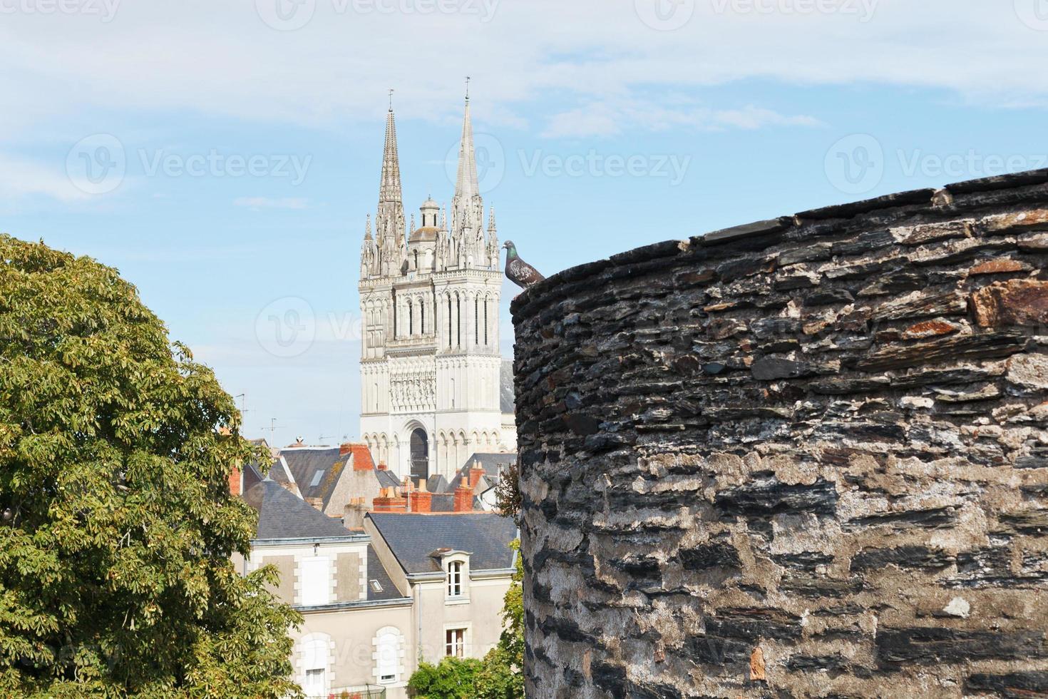 view of Saint Maurice Cathedral from Angers Castle photo