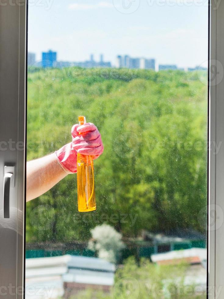 cleaner sprays liquid from spray bottle to window photo
