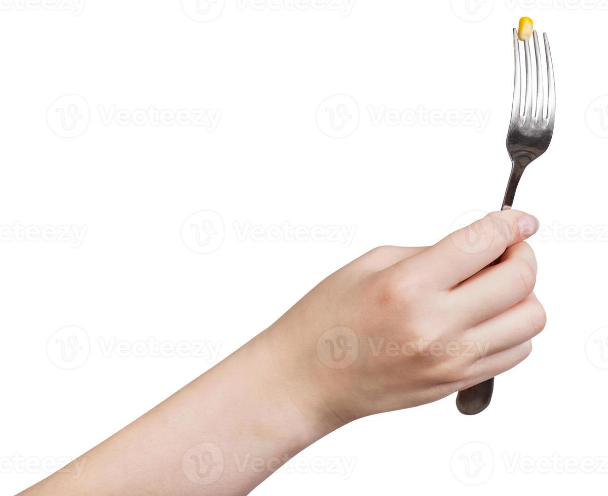 hand holding fork with impaled yellow corn seed photo
