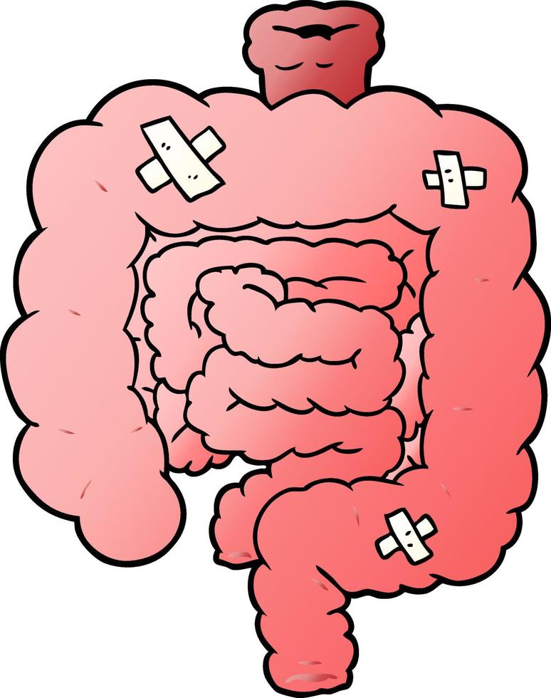 dibujos animados de intestinos reparados vector