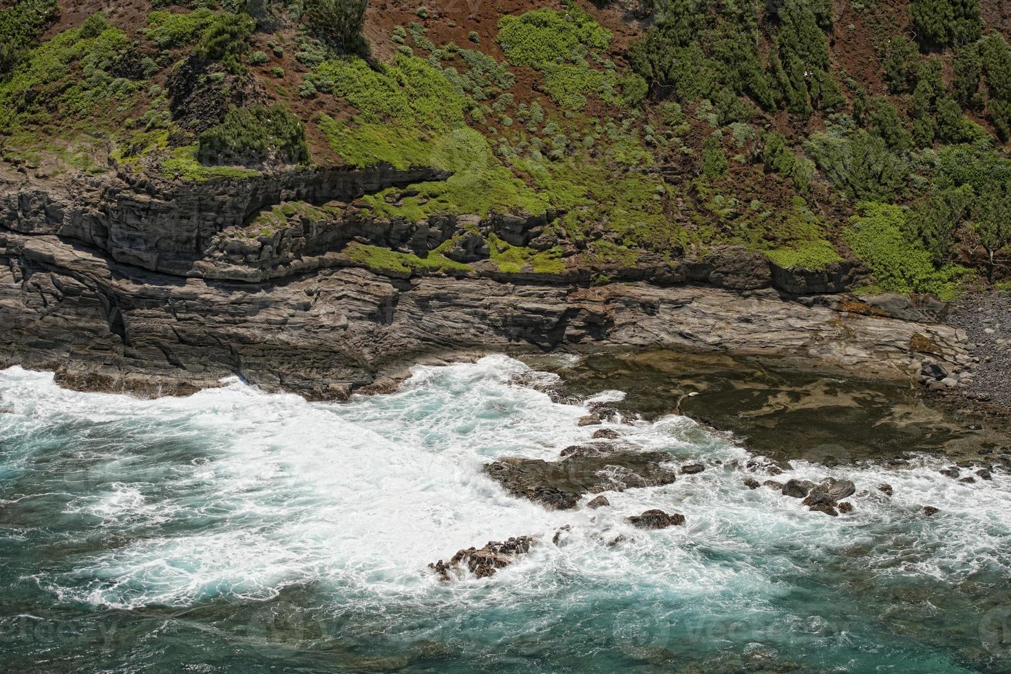 seal relaxing on rocks in hawaii kauai photo