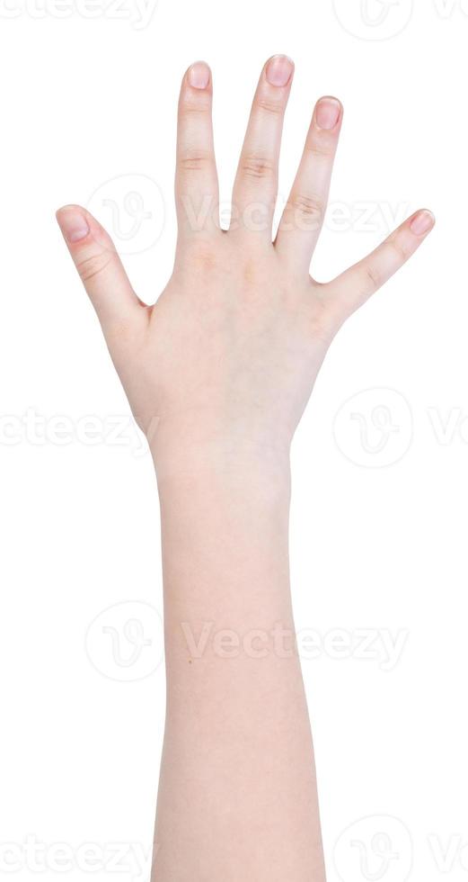 five fingers hand gesture isolated photo