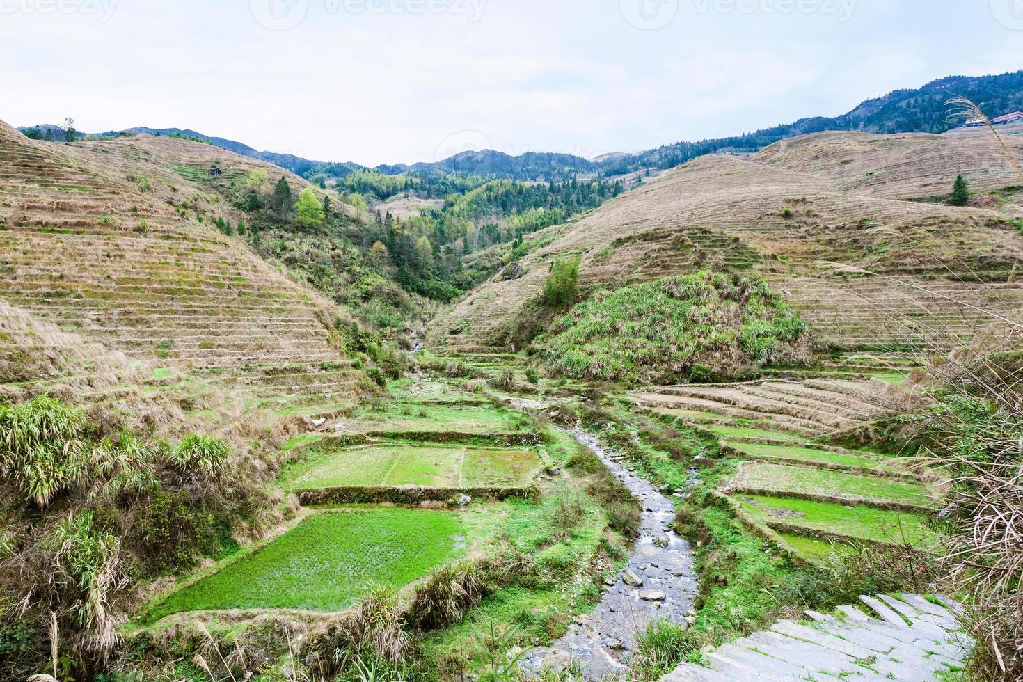 view of terraced fields and creek in Dazhai photo