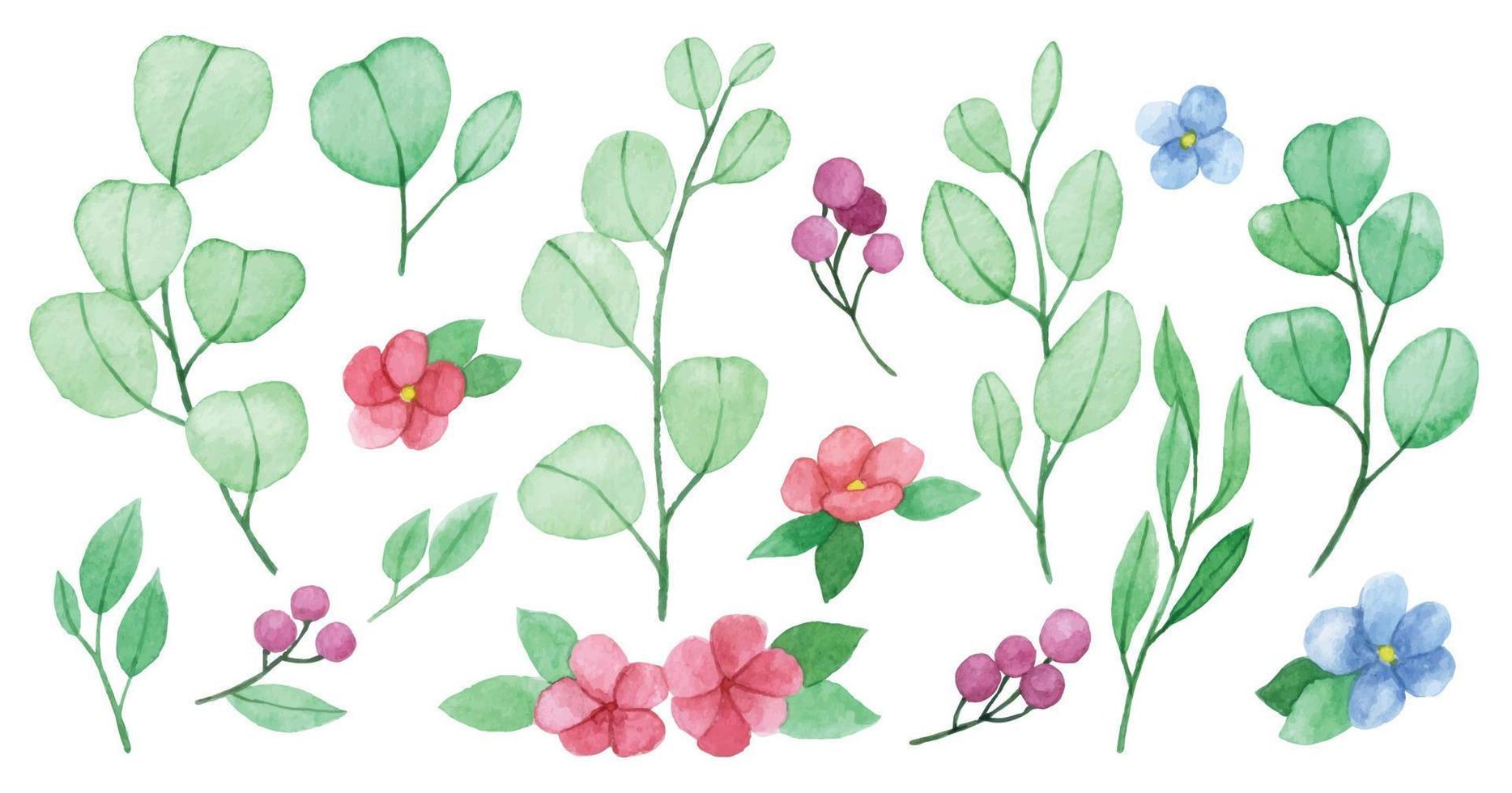 dibujo de acuarela. conjunto de lindas hojas de eucalipto, flores y bayas. dibujo estilizado simple en colores pastel vector