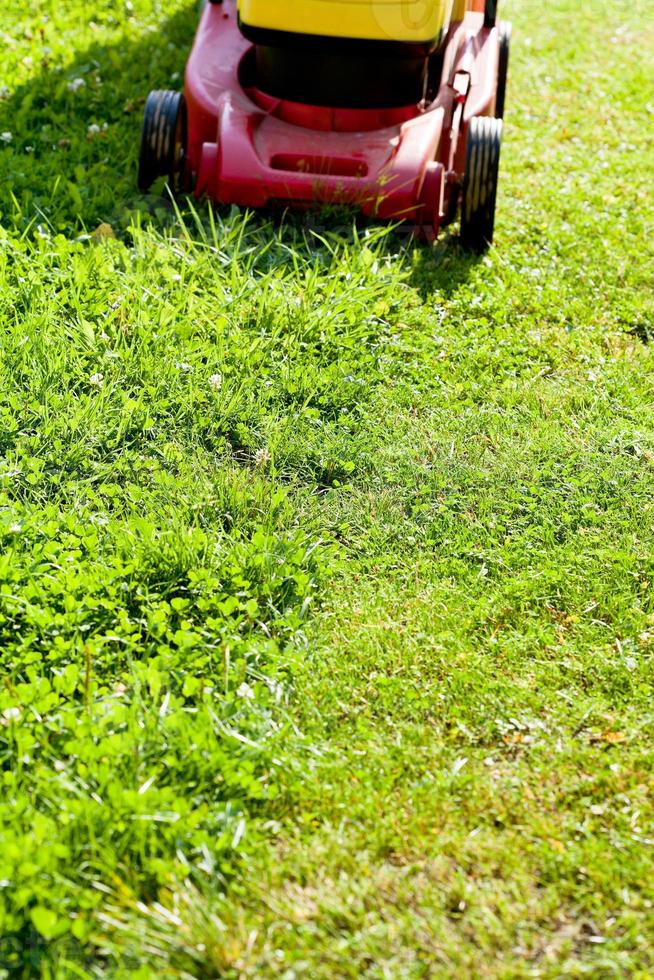 lawn mower mows green lawn photo