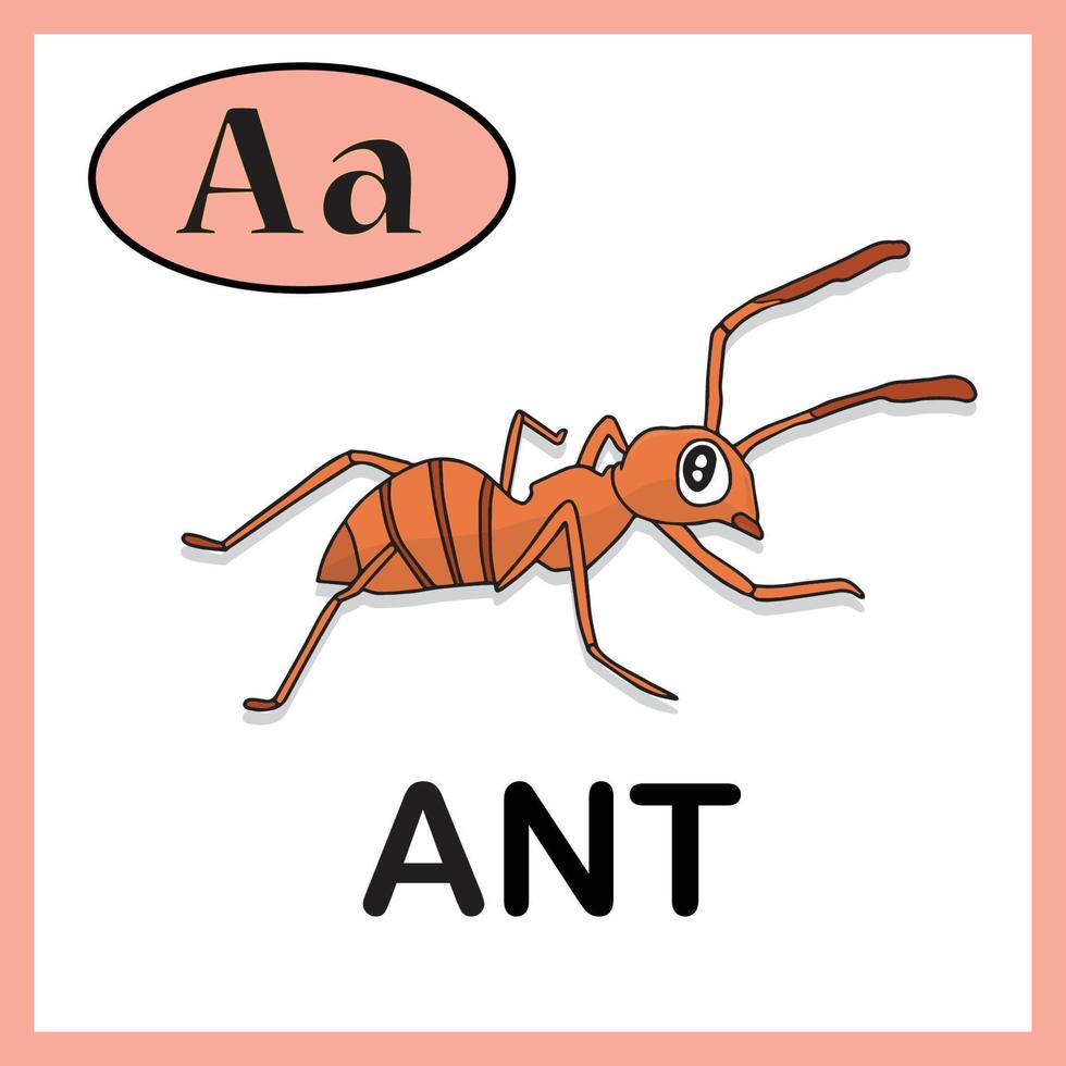 Ant Alphabet cute Flash card. Letter A. Practice learning for children, kids, kindergarten. Alphabet book, English vocabulary. vector