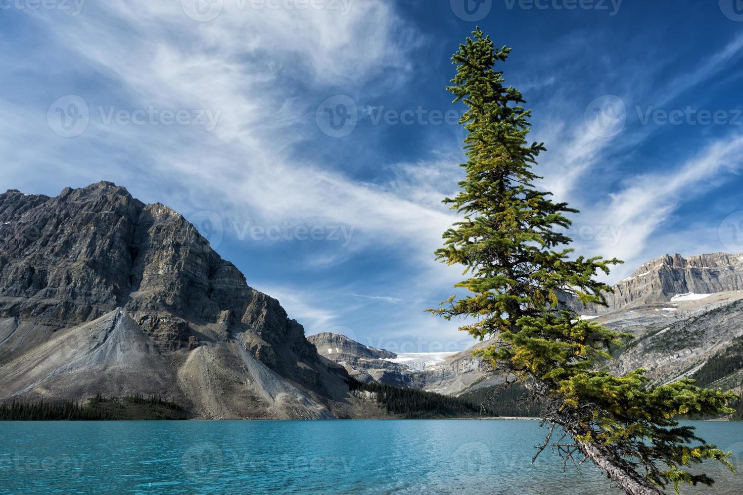 Icefield Highway Yoho Banff Jasper Park photo