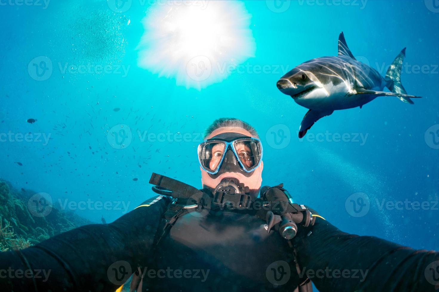 selfie bajo el agua con un tiburón blanco listo para atacar foto