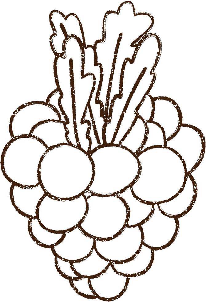 Berry Charcoal Drawing vector