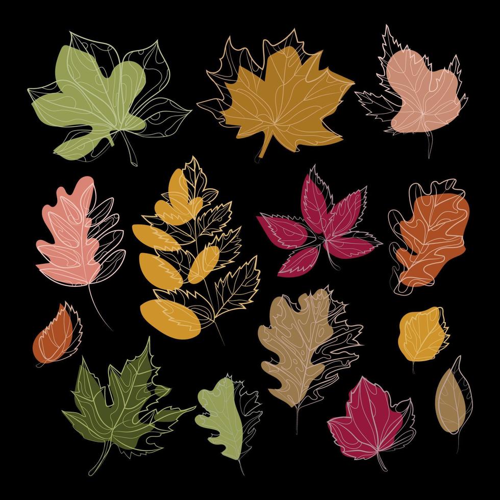 Abstract autumn leafing modern liner botanical set vector illustration on black . Colorful Foliage, plant elements bundle hand drawn. Different leaves fall.Trendy stylized nature decoration