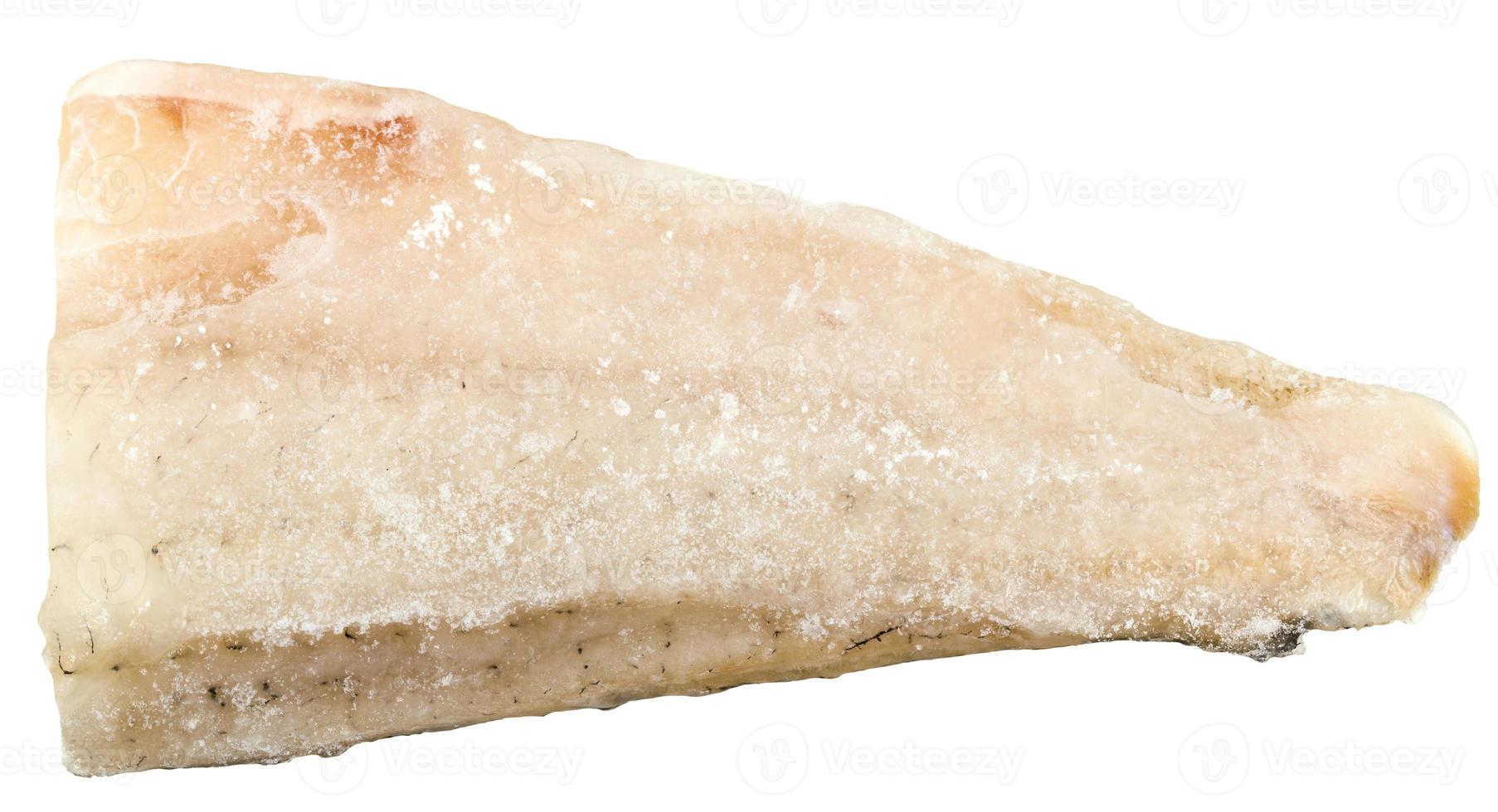 uncooked frozen zander fish fillet isolated photo