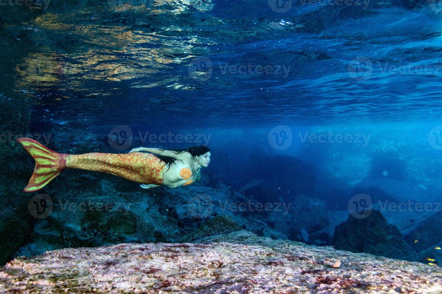 sirena nadando bajo el agua en el mar azul profundo con una foca foto