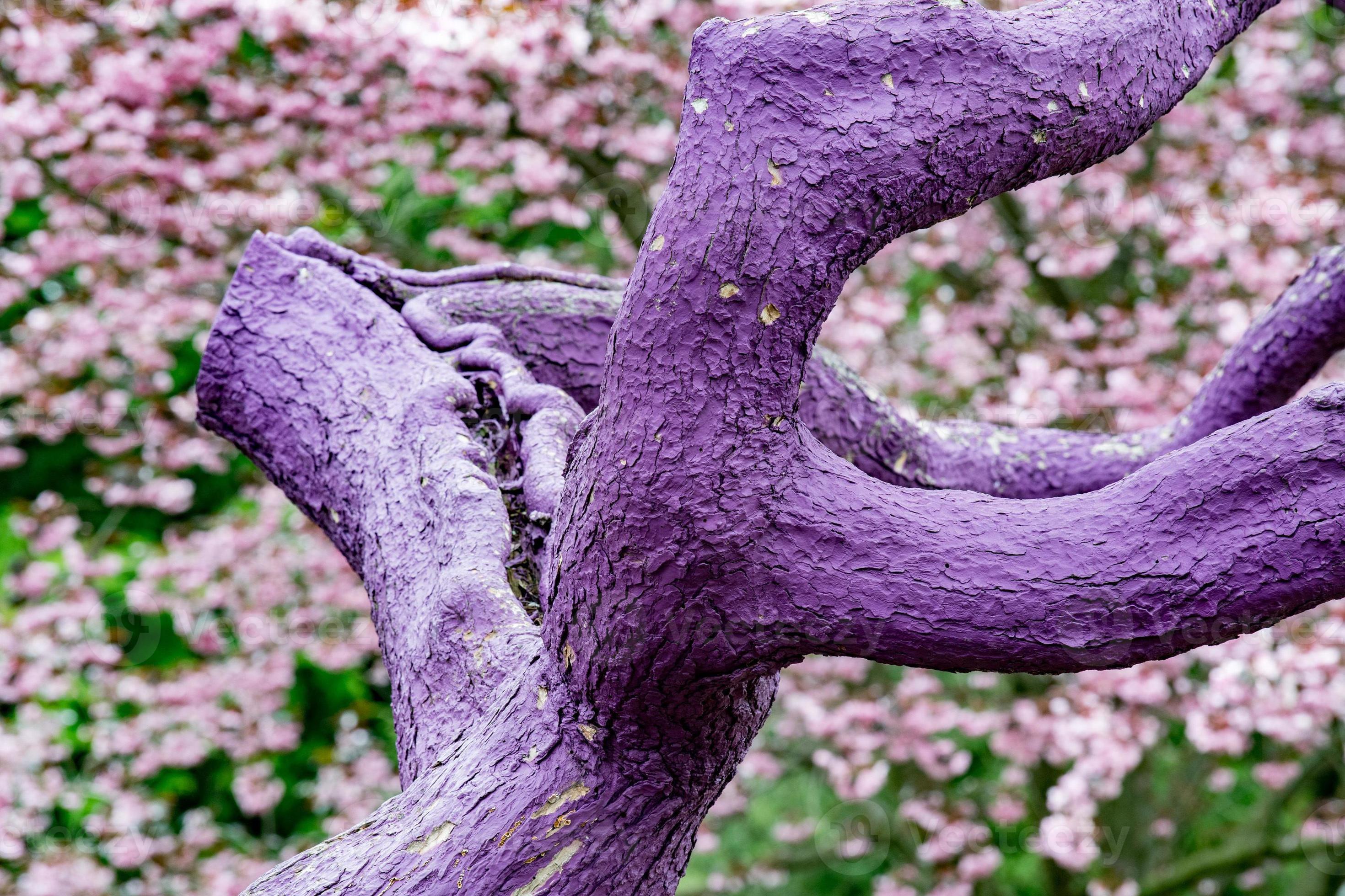 Purple violet painted tree detail 12250064 Stock Photo at Vecteezy