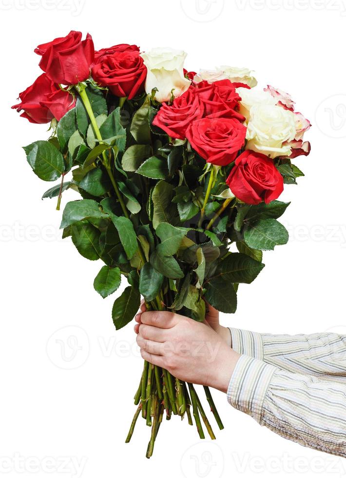 dos manos dando ramo de varias rosas aisladas 12250176 Foto de stock en