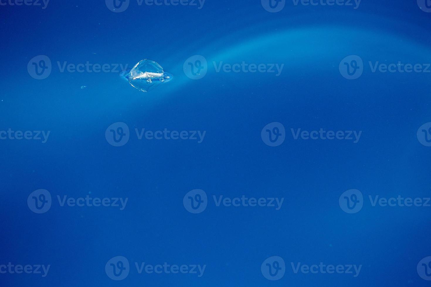 velella jellyfish on deep blue sea back photo