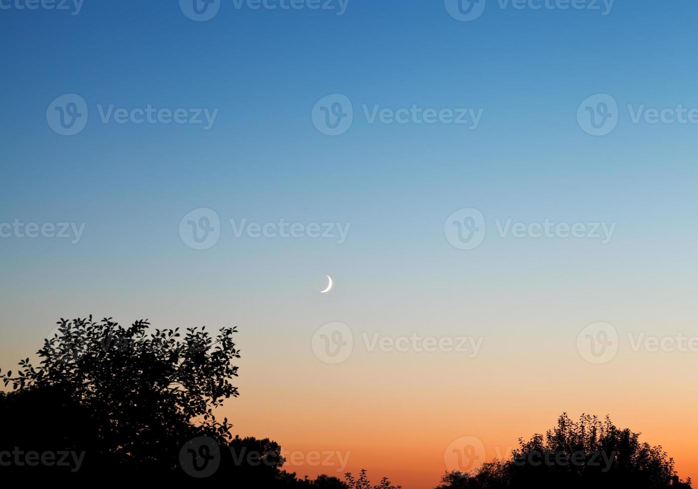 new moon in dark blue sky at sunset photo