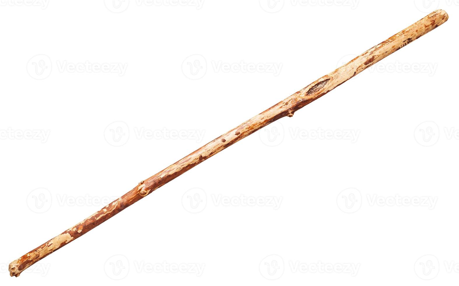 wooden staff from tree trunk isolated photo