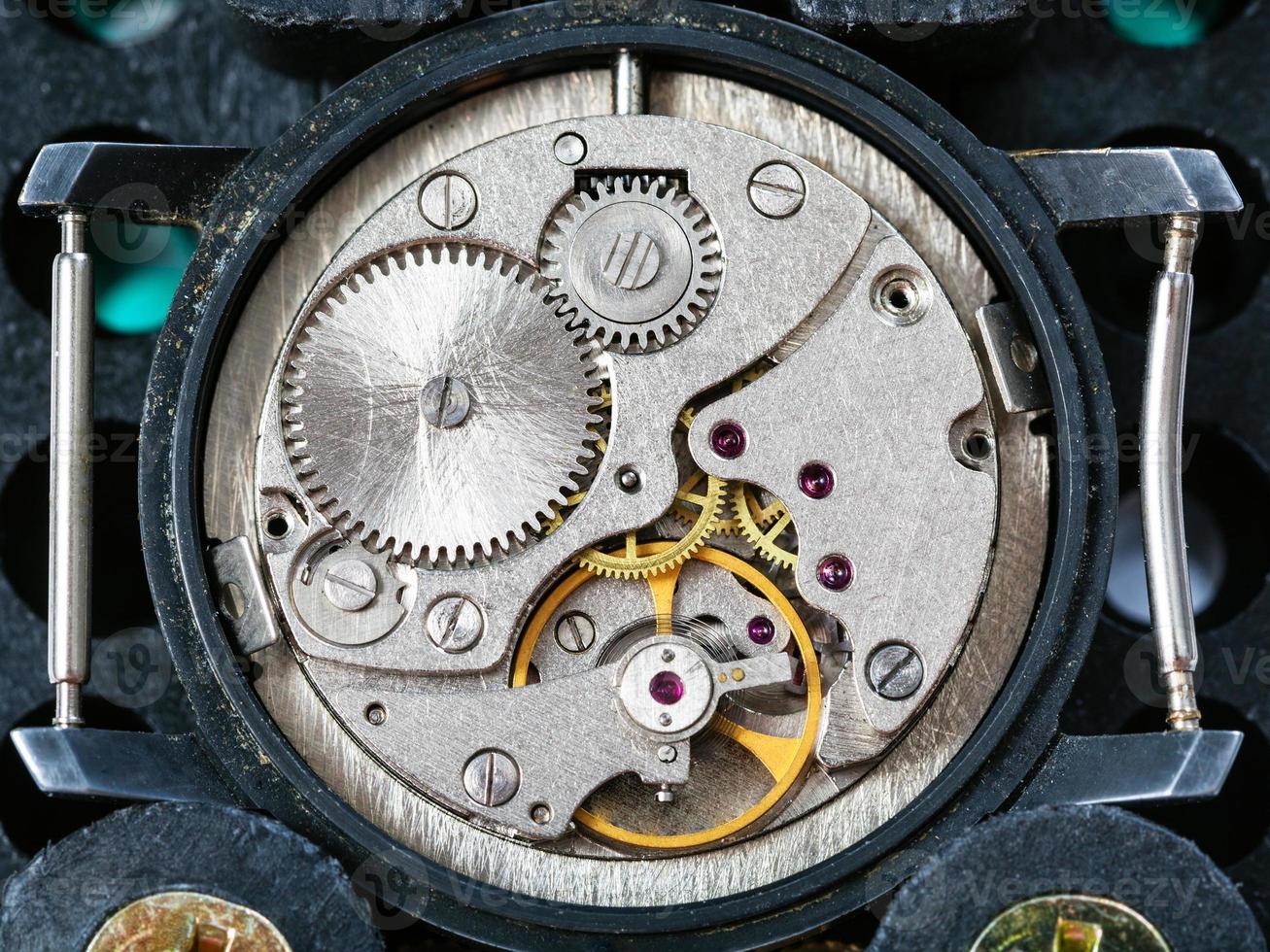 wristwatch fixed in plastic holder for service photo