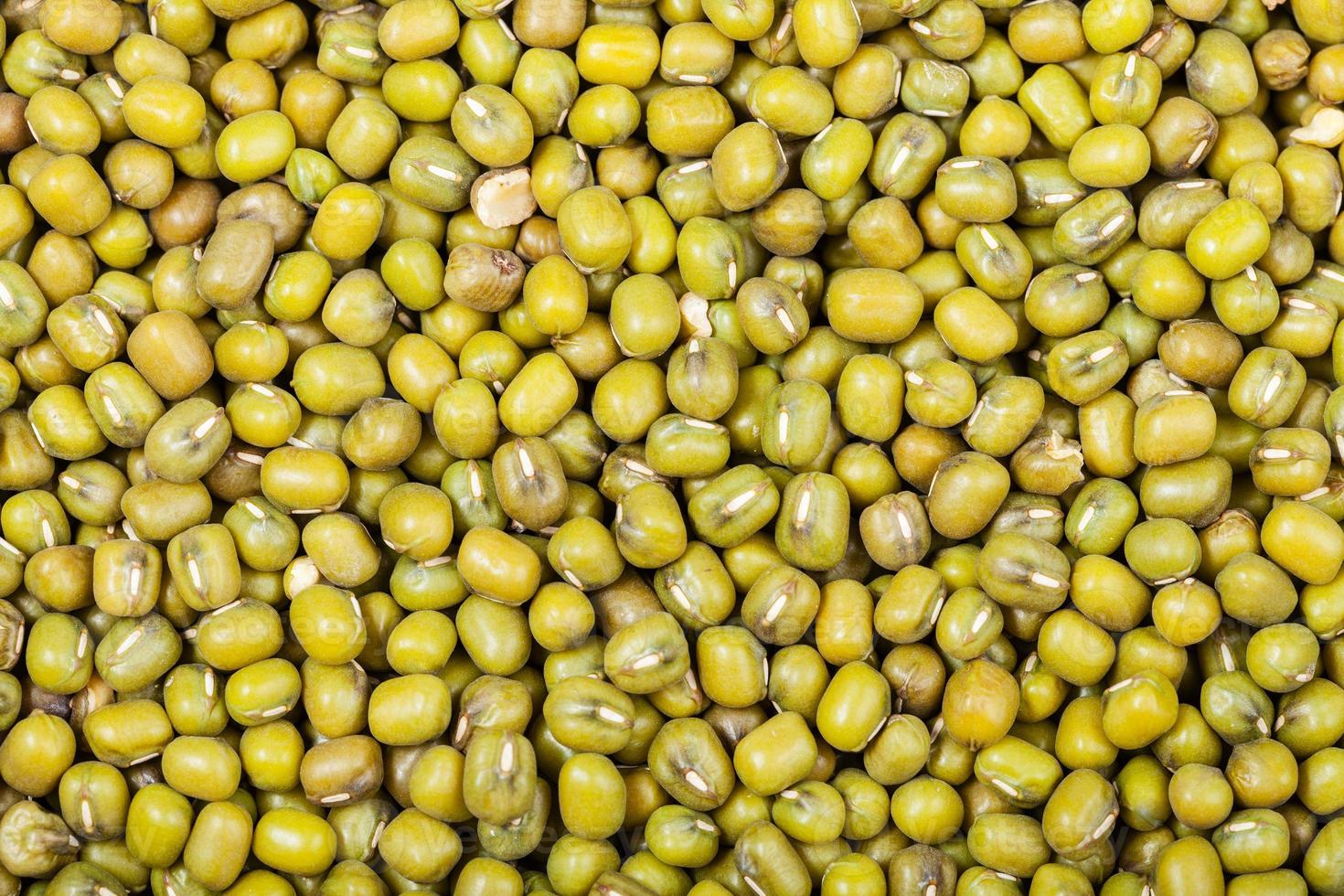raw green mung beans photo