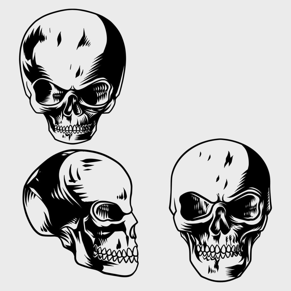 skull head detail set with different styles vector