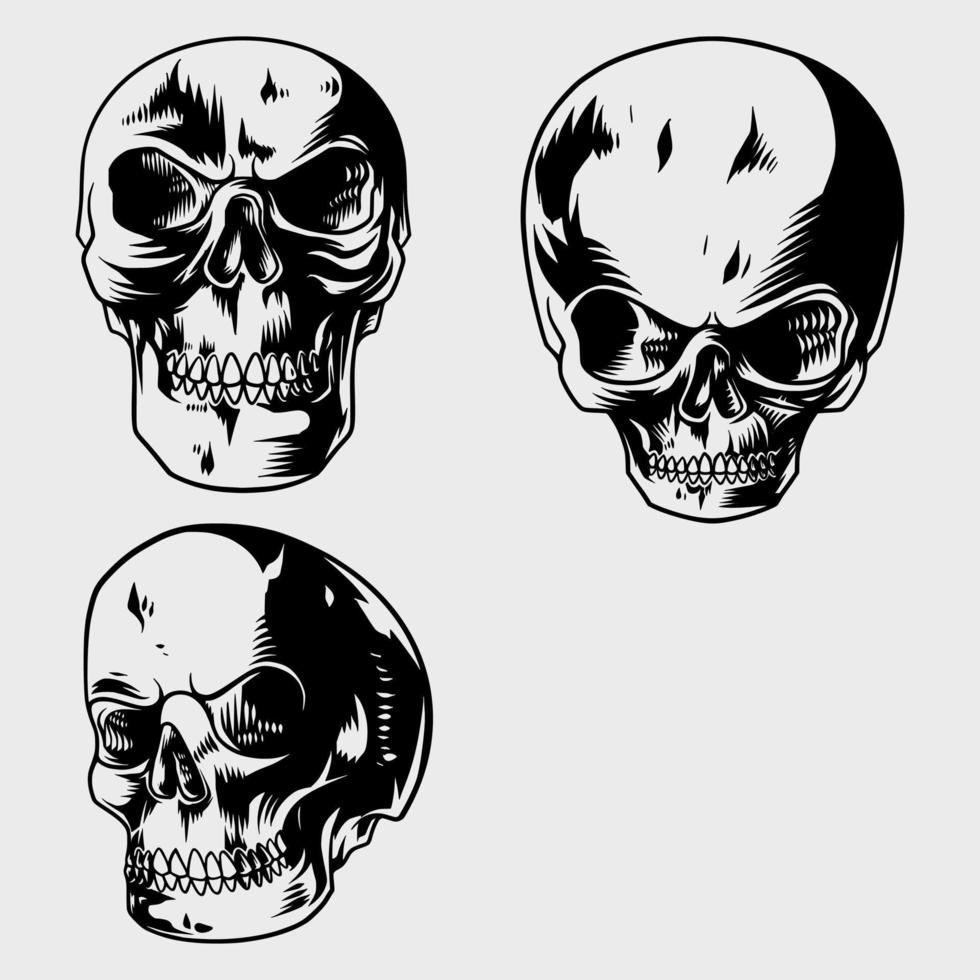 una colección de dibujos de calaveras a mano con varios modelos vector