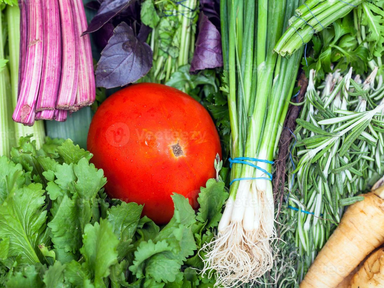 bunches of fresh cut greenery and red tomato photo