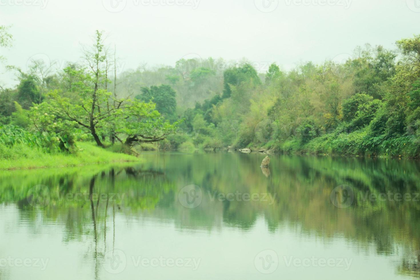 montañas, ríos, arroyos, bosques foto