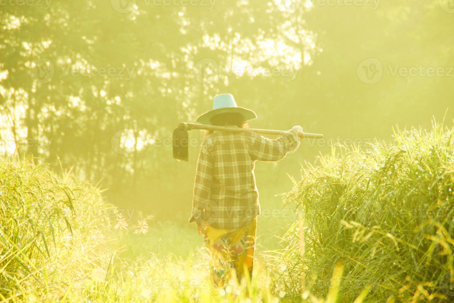 The farmer is going to the field in the morning. photo