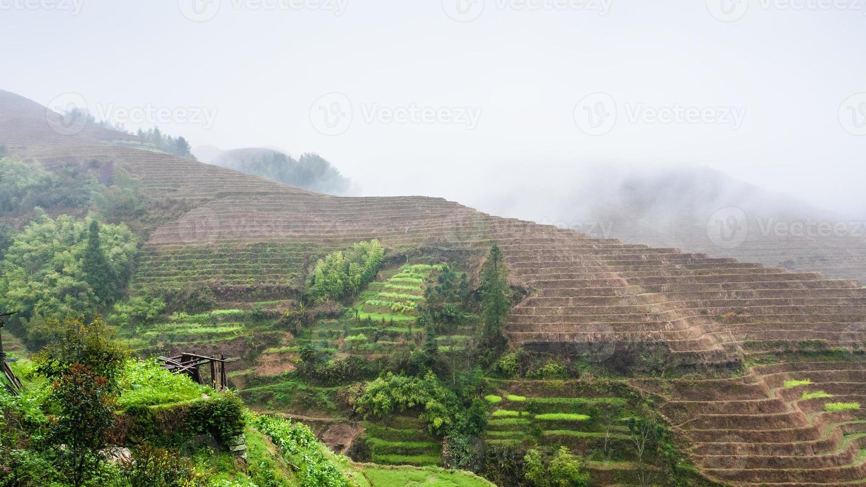 view of hills with terraced rice fields in rain photo