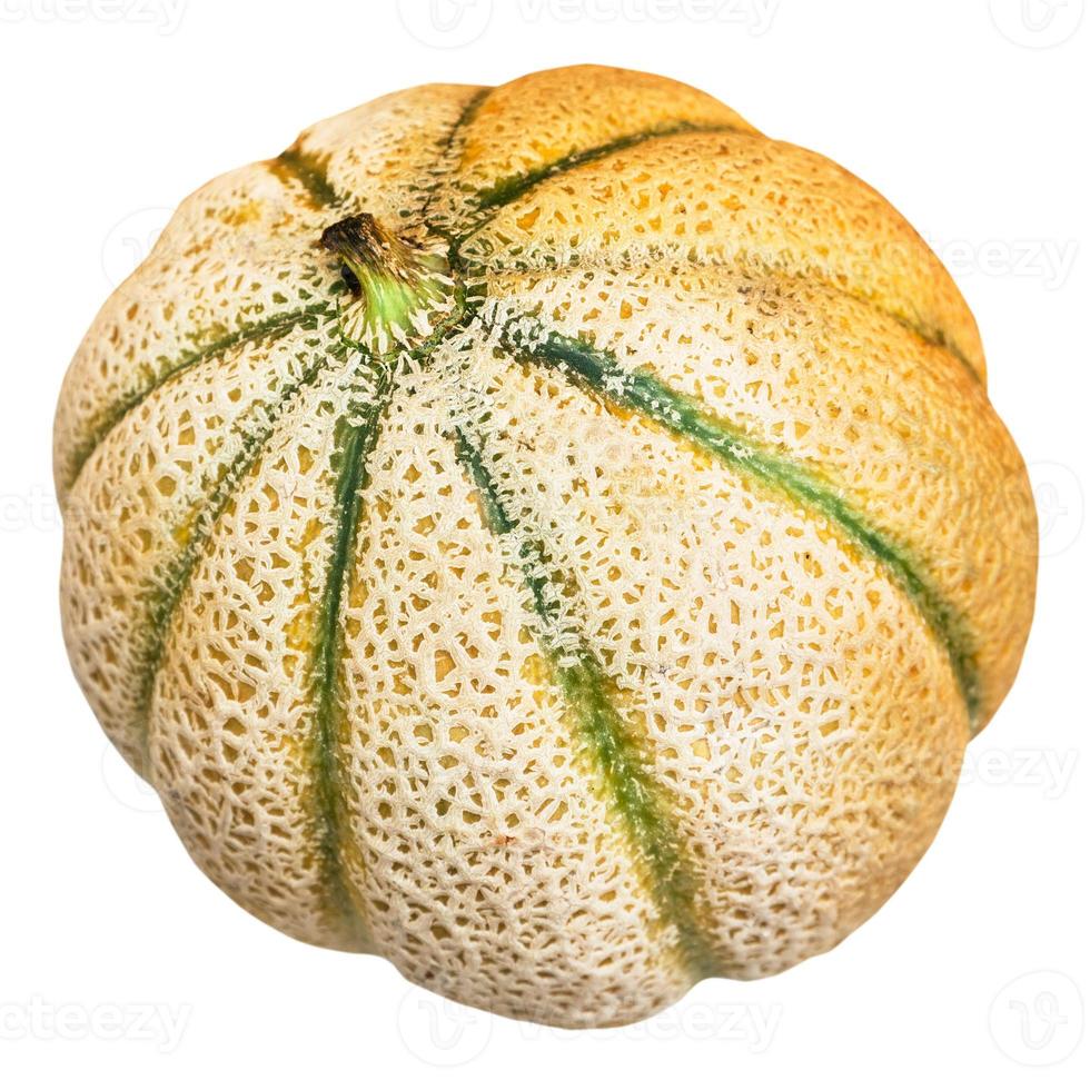 sicilian muskmelon cantaloupe melon isolated photo