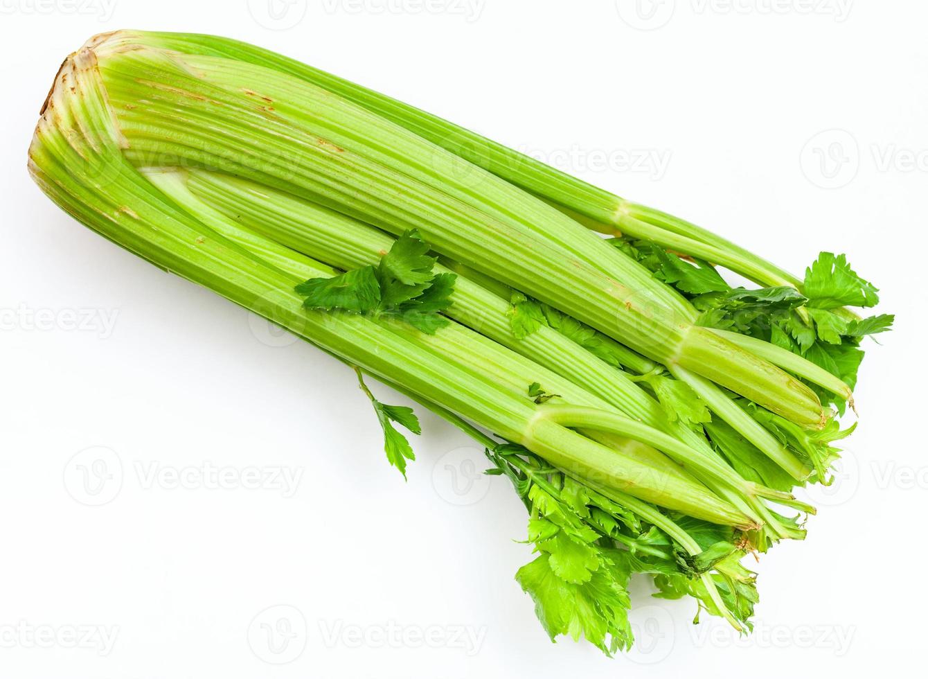 fresh cut celery stalks on white photo