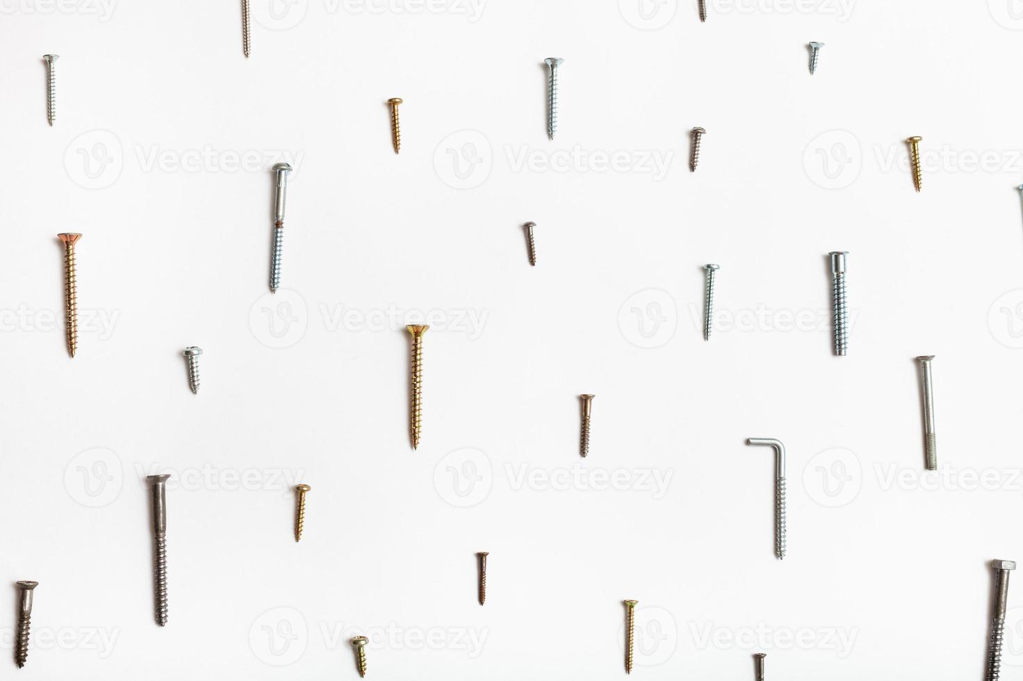 wood screws arranged on white photo
