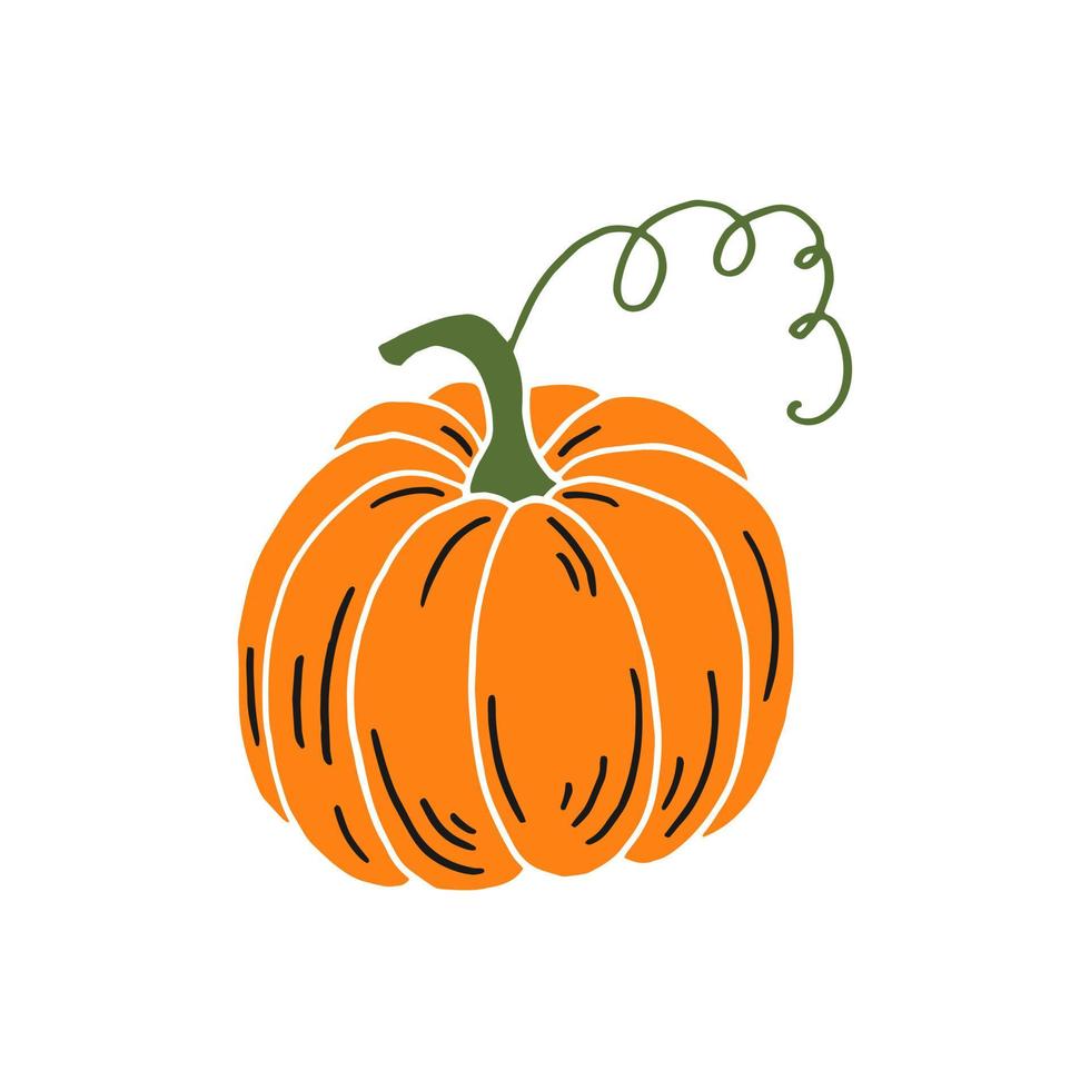 Pumpkin. Thanksgiving and Halloween Elements. Hand drawn vector illustration.