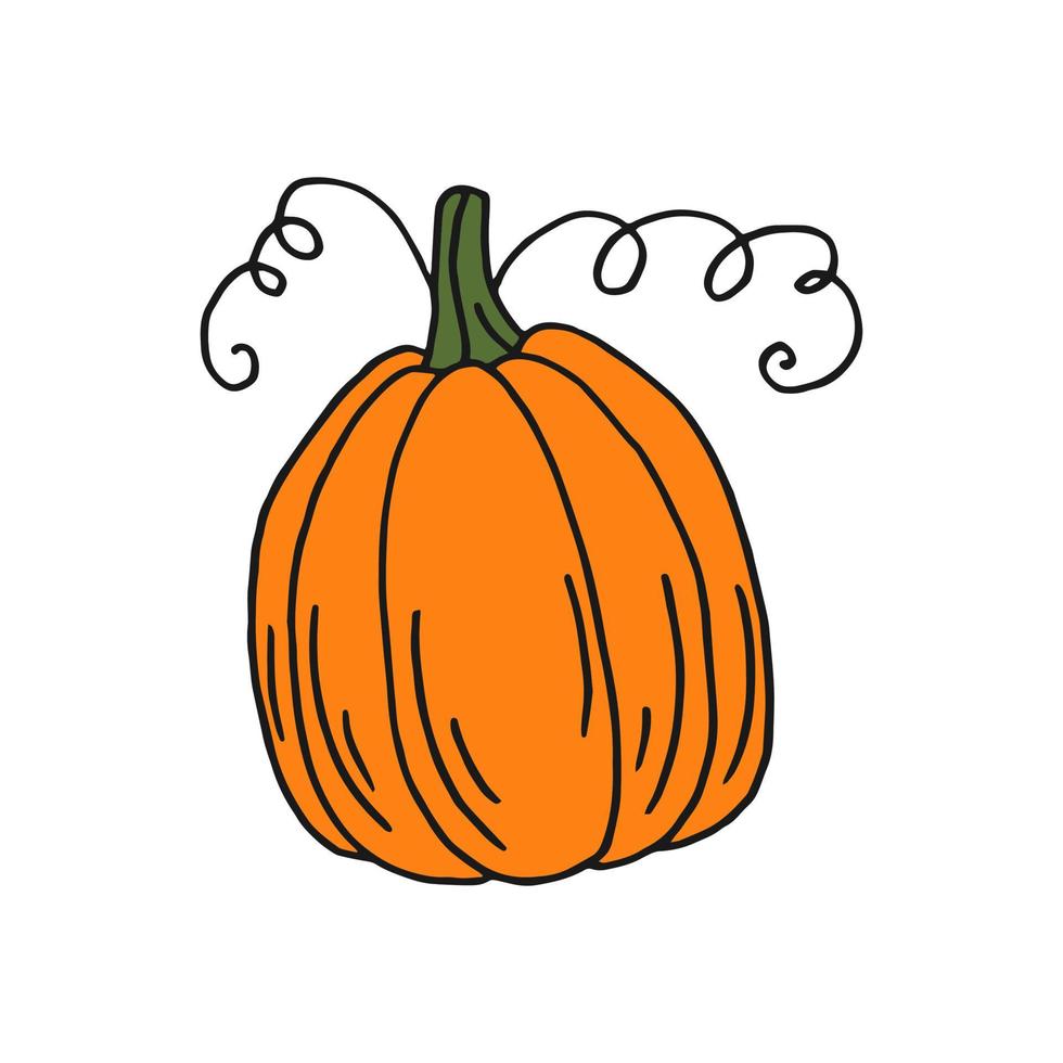 calabaza. icono de color plano. diseño de acción de gracias. calabaza de otoño. vector