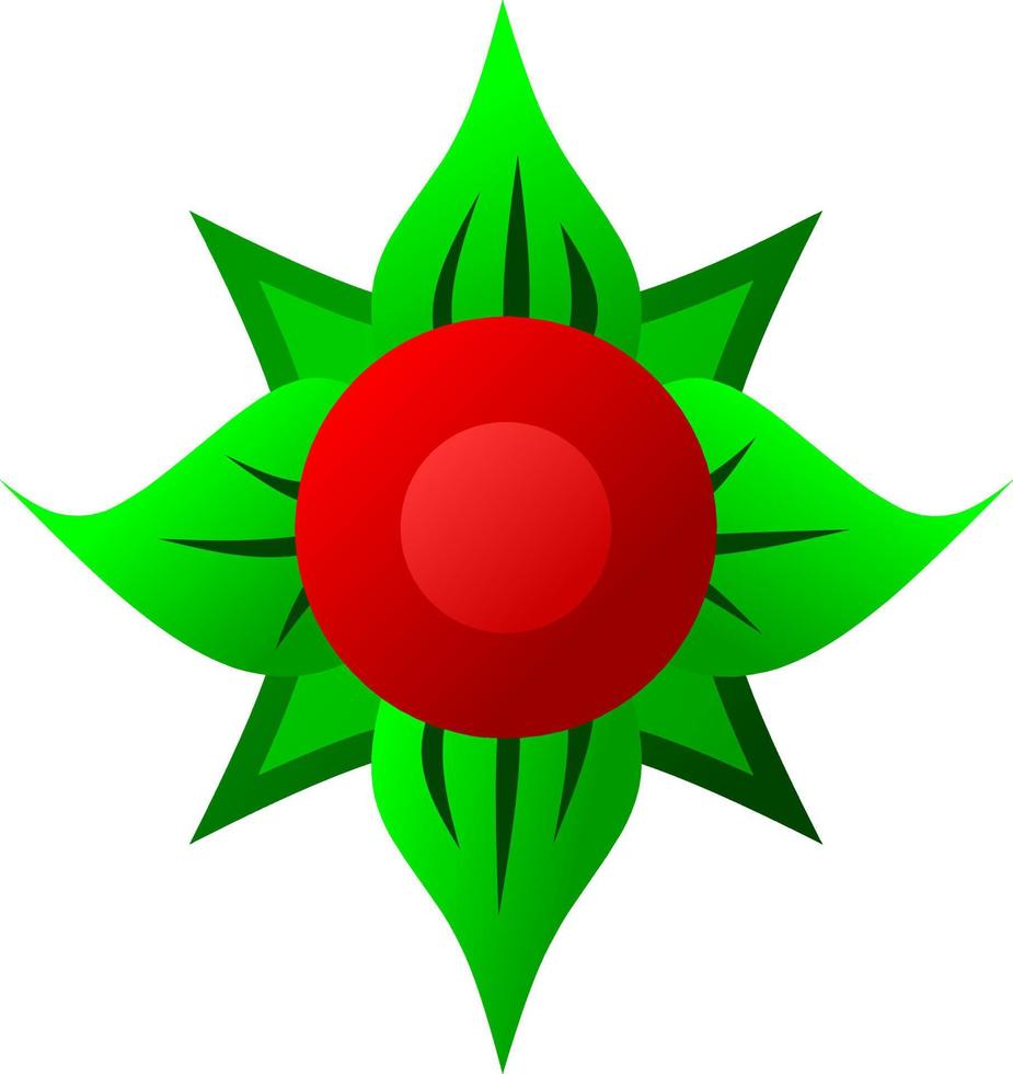 Holly decoration for logo, icon, symbol, design, winter or Christmas vector
