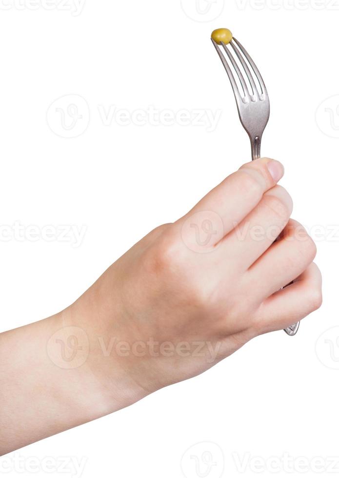 female hand holds fork with impaled green pea photo