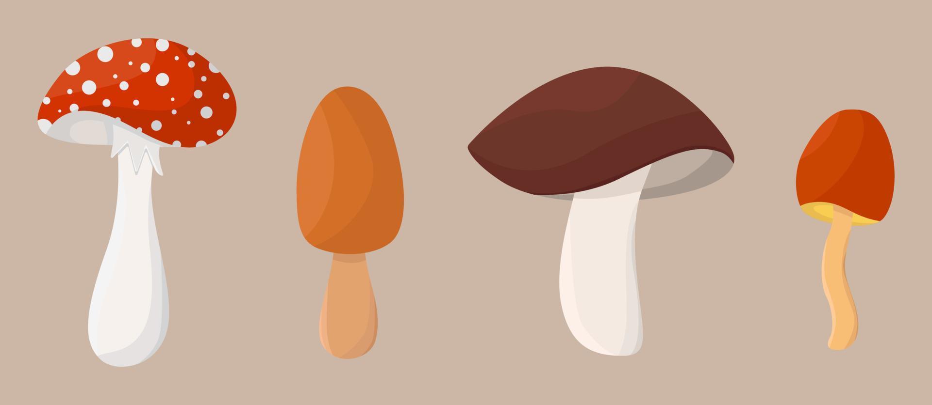 set of vector stylized mushrooms. Vector illustration in flat style